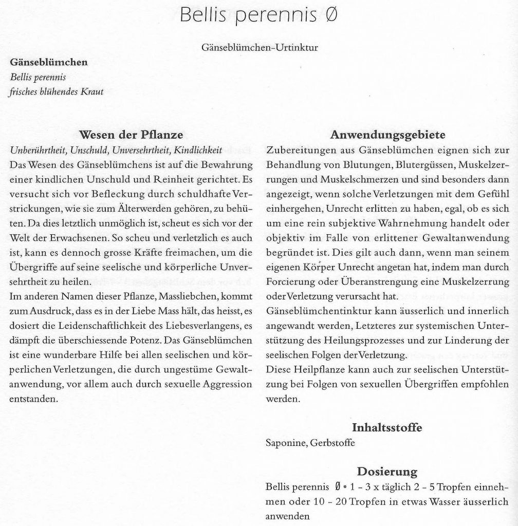 Bellis perennis aus CERES Compendium